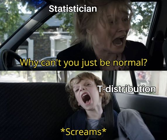 Statistician asking a t-distribution why it cannot just be normal
